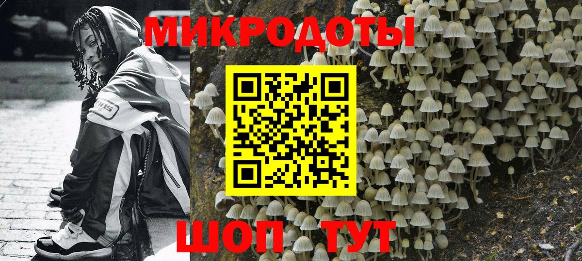 Псилоцибиновые грибы мицелий  Вход с VPN  Псилоцибиновые грибы прущие грибы  Бор 