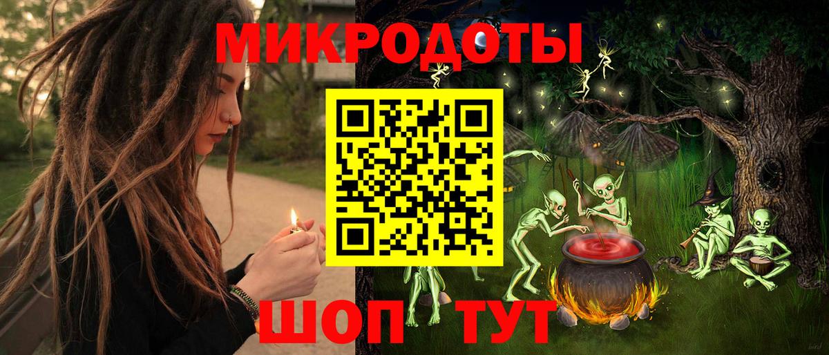 Псилоцибиновые грибы Psilocybine cubensis Бор